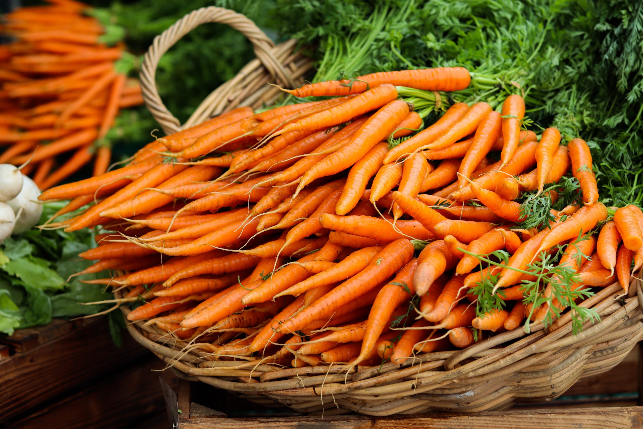 Fresh Carrots