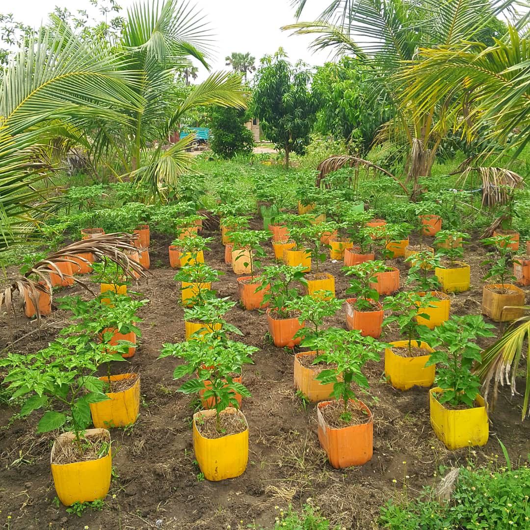 People collaborating with a tablet