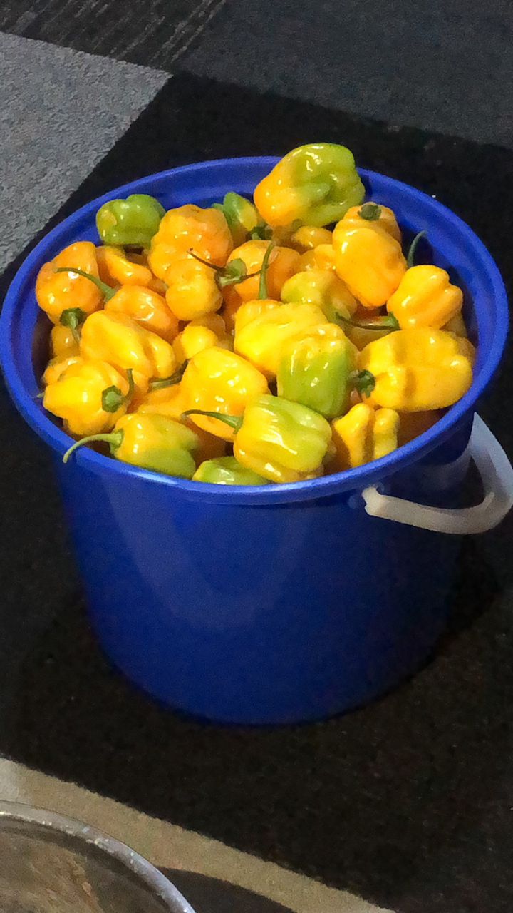 peppers